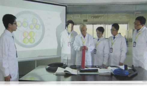 天津菠萝导航在线观看電纜國內國標電線品牌